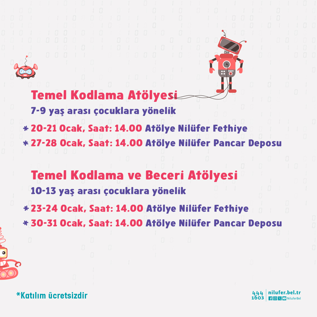 temel kodlama program.jpg (442 KB)